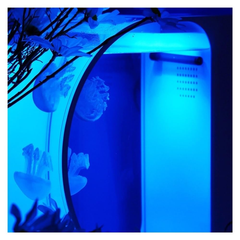 Aquarium Fischbecken mit Zwei Quallen, kleines dekoratives Schreibtisch-Aquarium, Büro- und Heimdekoration