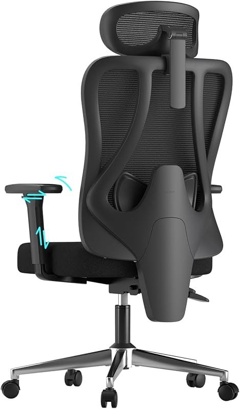 Hbada P3 Pro Chaise de Bureau Ergonomique Fauteuil de Bureau - Soutien Lombaire 2D Réglable, Appui-T