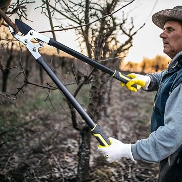 Jardineer Ratchet Anvil Loppers, Heavy Duty Tree Branch Cutters with 2 Cutting Capacity, Labor-Saving Garden Loppers with Additional SK5 Spare Blade for Yard, Orchard & Thick Shrub Trimming