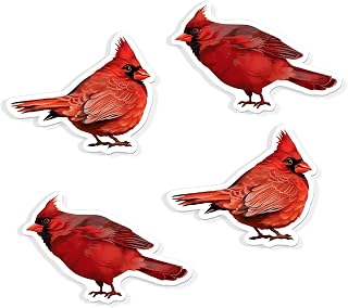 WIRESTER Set of 4 Fun Decorative Magnets for Home, Office, Classroom, Acrylic Magnets to Stick on Computer, Fridge, Washer, Dryer, Lockers - Red Cardinal Birds