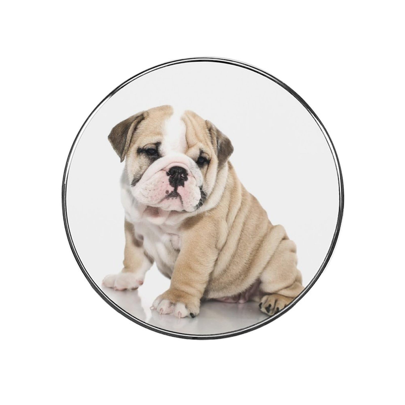 Bulldog Refrigerator Magnet Decorative Locker Magnet For Kitchen And Office Home Décor