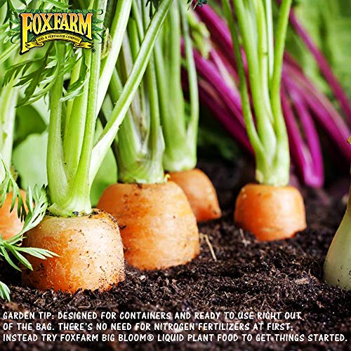 Fox Farm Ocean Forest Potting Soil Organic Natural Succulent Soil For Indoor And Outdoor Cactus Plants 38.5 Quart (1.5 Cu Ft). - (Bundled With Pearsons Protective Gloves) (3 Pack) #TOP3