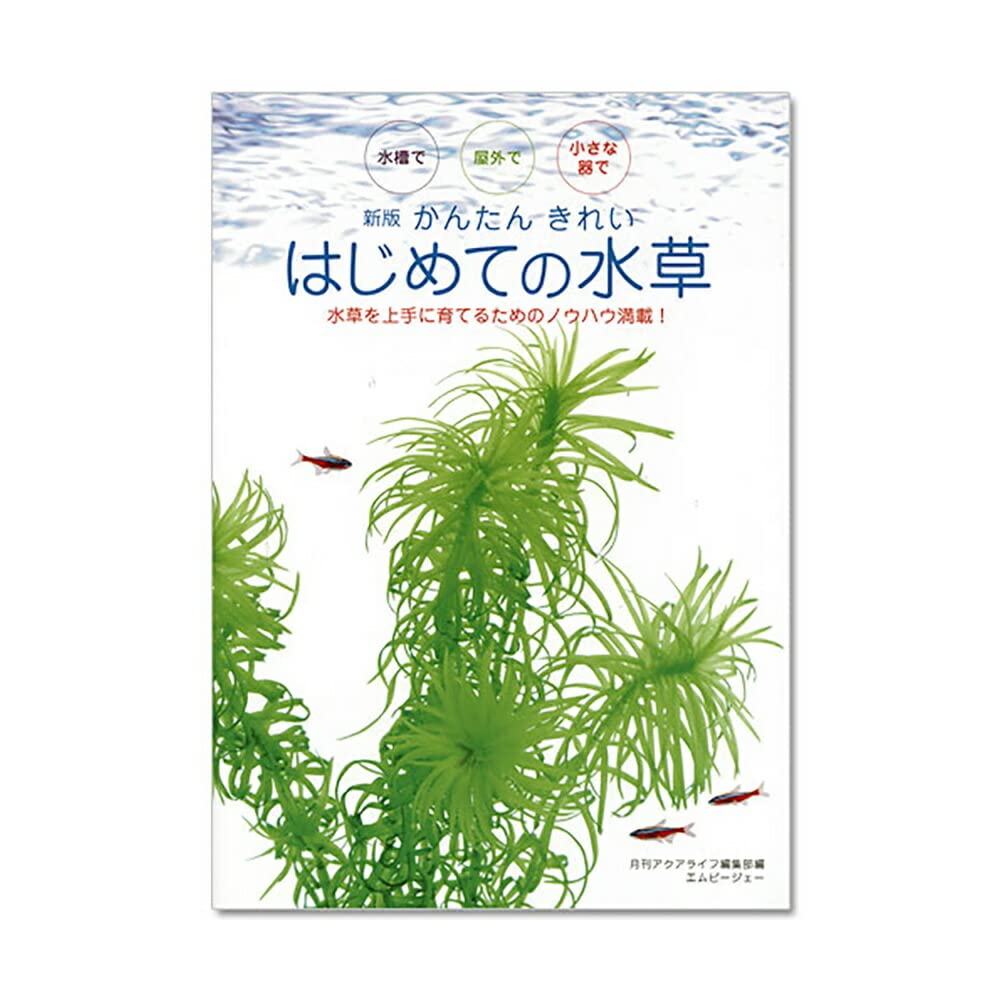 ☆atsupapa☆様 リクエスト 4点 まとめ商品　水草 ☆atsupapa☆様 リクエスト 4点 まとめ商品 水草の通販はau PAY