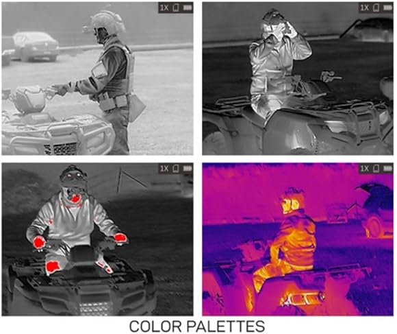 4 Color Palettes