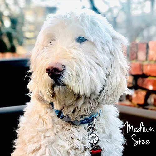 Miniatura 5 de Etiquetas de identificación de mascotas de diseño de acero inoxidable con grabado profundo, duradero, 120 opciones de diseño de etiquetas de