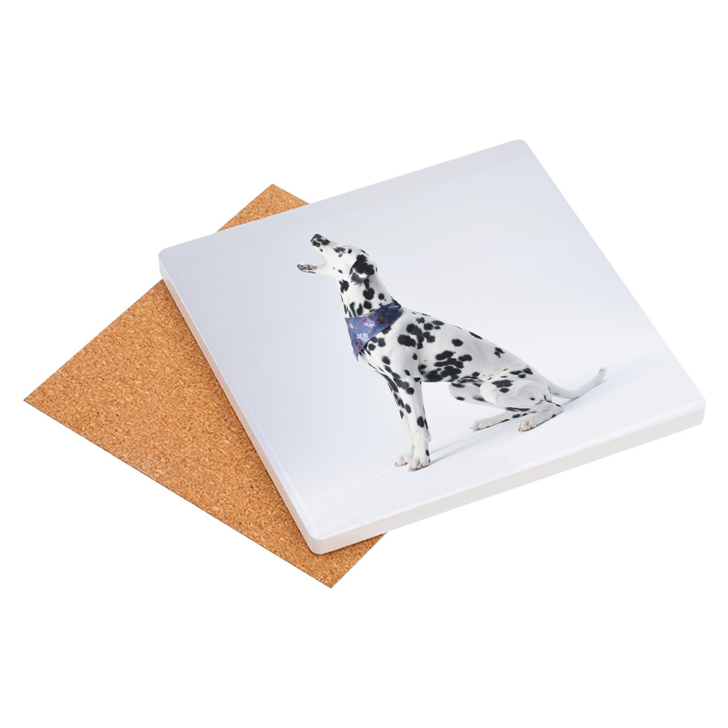 Sottobicchiere in ceramica - Cane dalmata con bandana a motivi blu riceve un dolcetto per animali - 1 unità (100 x 100 mm