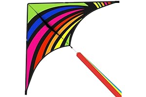 Mint's Colorful Life DeltaKite - Easy Flying Kites for Kids and Adults