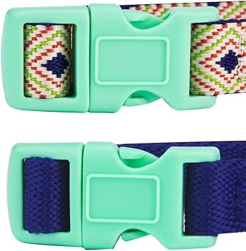 Blueberry Pet Pack of 2 Multiple Patterns Mix and Match Stunning Diamonds Adjustable Dog Collar with Detachable Green Bow Tie, Small, Neck 12-16
