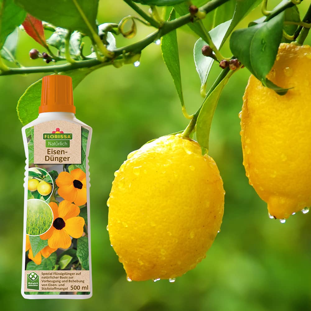 was ist der beste dnger fr hibiskus Bio-Hibiskus-Dnger kaufen