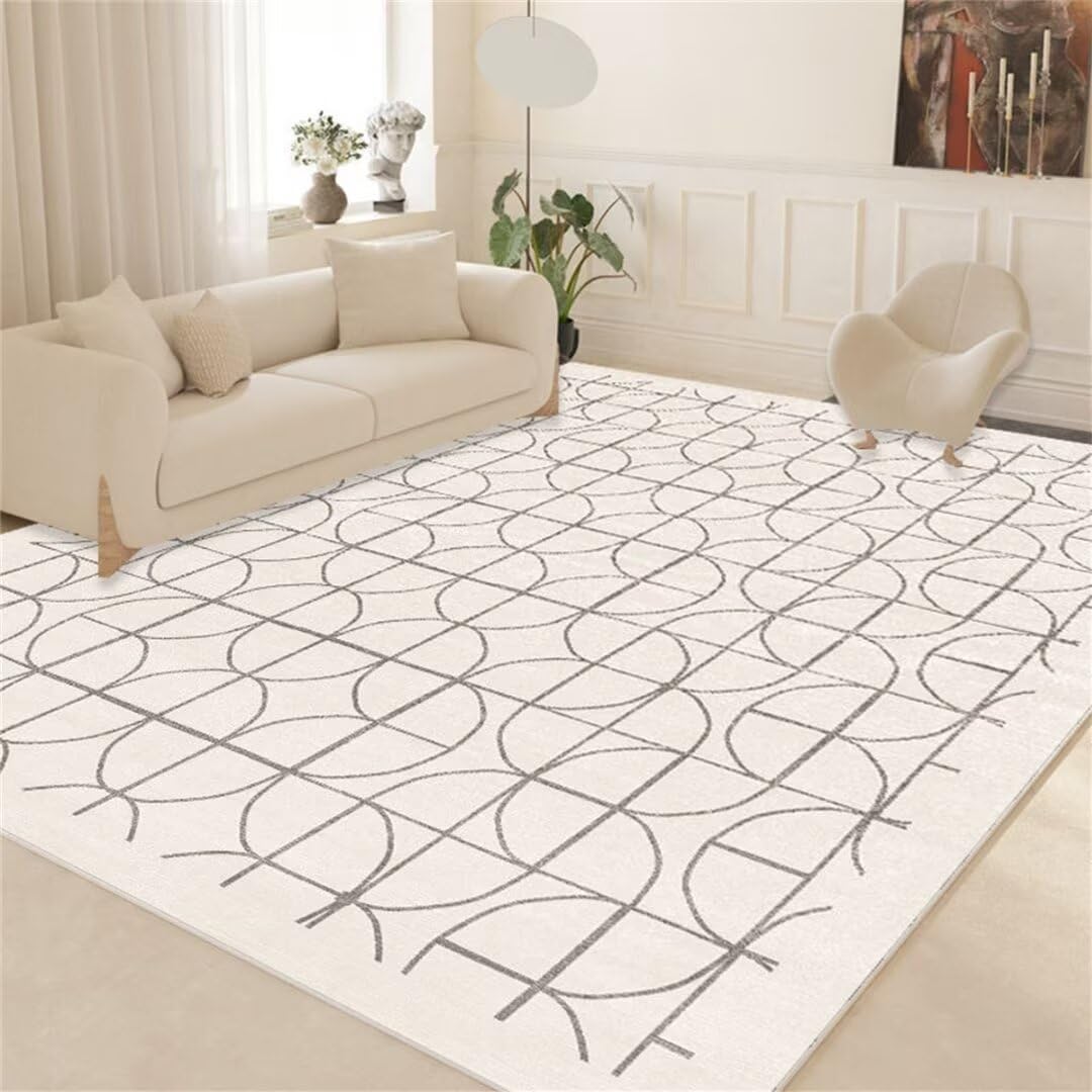Tapis de salon facile à entretenir en velours cristal