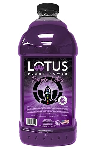 Purple Lotus Plant Energy Drink Concentrate | Pure Cane Sugar | 64 fl oz | 1:5 | Natural Caffeine from Green Coffee Bean - Purple - Elderberry and Black Raspberry - 64 Fl Oz (Pack of 1)