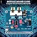 Pasuihcay PIFI Digi + HiFi Audio Sound Card Module I2S Interface for 3 2 Model B B+ Digital Audio Card Pinboard V2.0 Board SC08