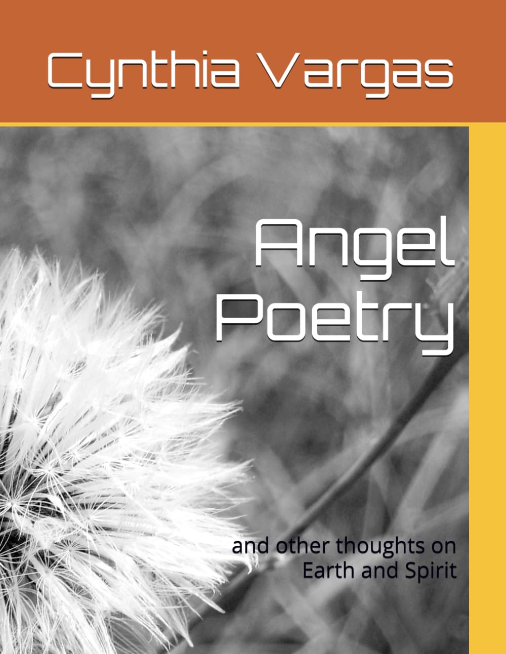 Angel Poetry: And Other Thoughts on Earth and Spirit