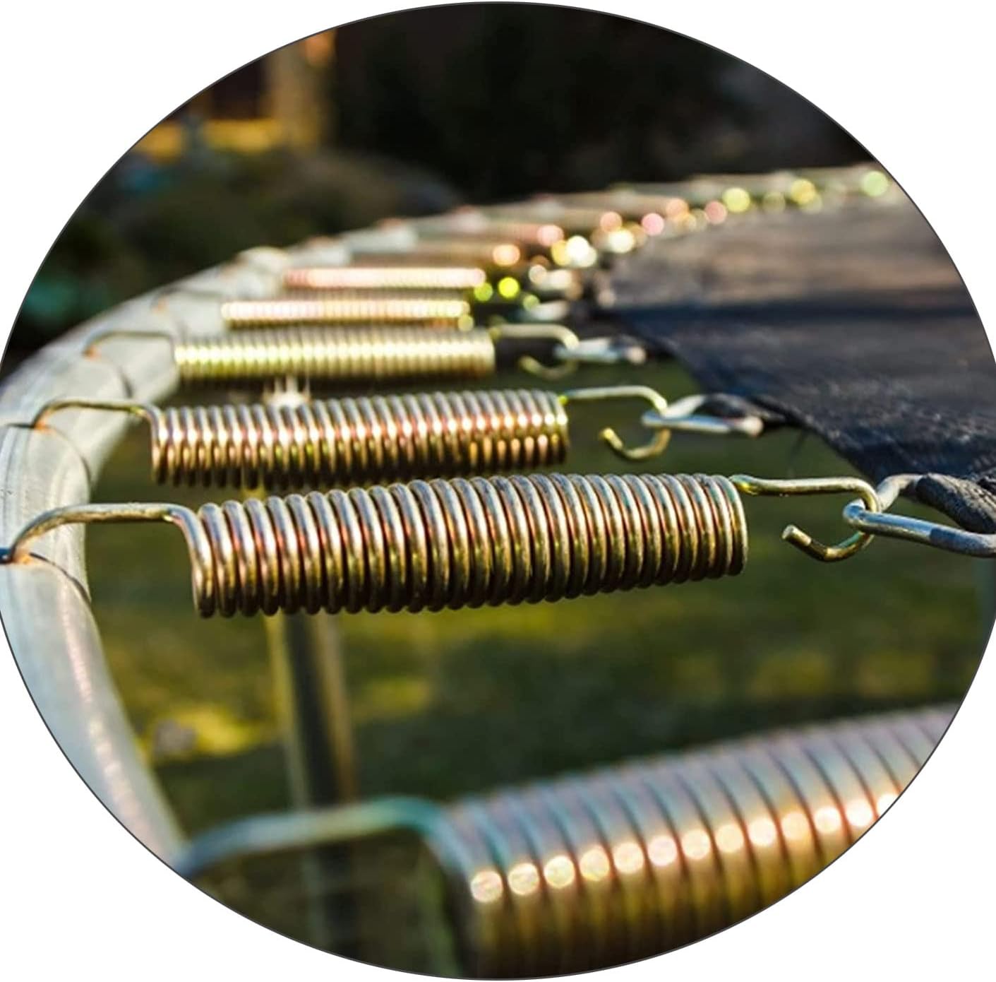 Trampoline Spring 5.5 inches, Pack of 10 Colorful Gold Springs, Replacement Springs, with T-Hooks
