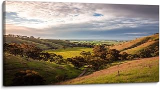 Canvas Wall Art Prints Views hills vineyards green fields where sheeps use to feed Cloudy sky Large Framed Wall Art Painting Artwork Poster Hanging Home Decor for Living Room Office Bathroom 20"x40"