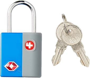 SwissGear TSA-Approved Travel Sentry Luggage Locks - Set of 2 Mini Locks with 2 Keys, Blue, One Size