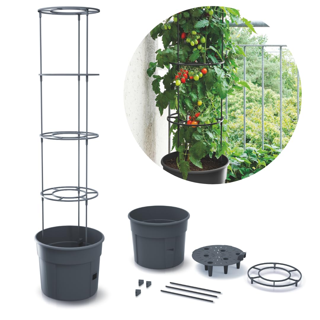 FORTENA 4X Tomatenzuchttopf für Balkon Garten Tomatentopf Tomatenzucht Tomatenkübel 28L