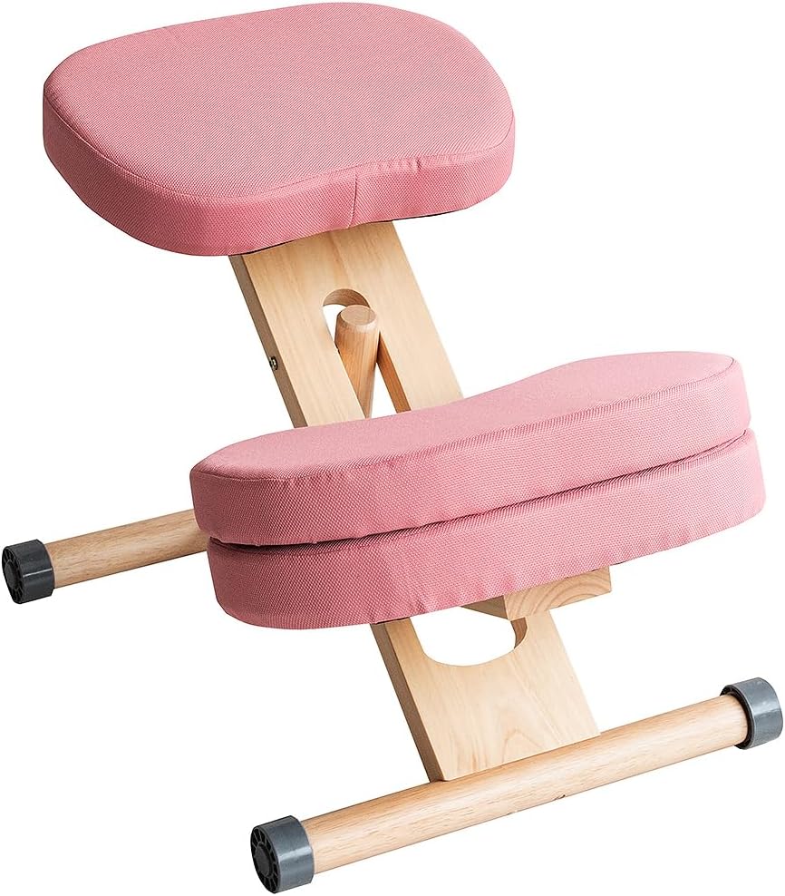 プロポーションチェア CH-N889CK NT/PK Proportion Chair for Focusing and Postural Support, Supplementary Cushion, Natural x Pink