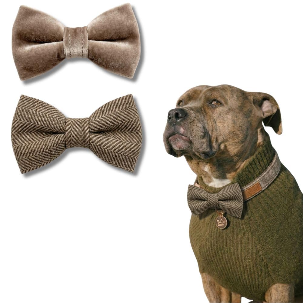 Tails Of Glory – Tweed & Velvet Dog Bow Ties – Set of 2 Elegant Dog Collar Accessories – Chic and Classic Style, Easy Elastic Attachment