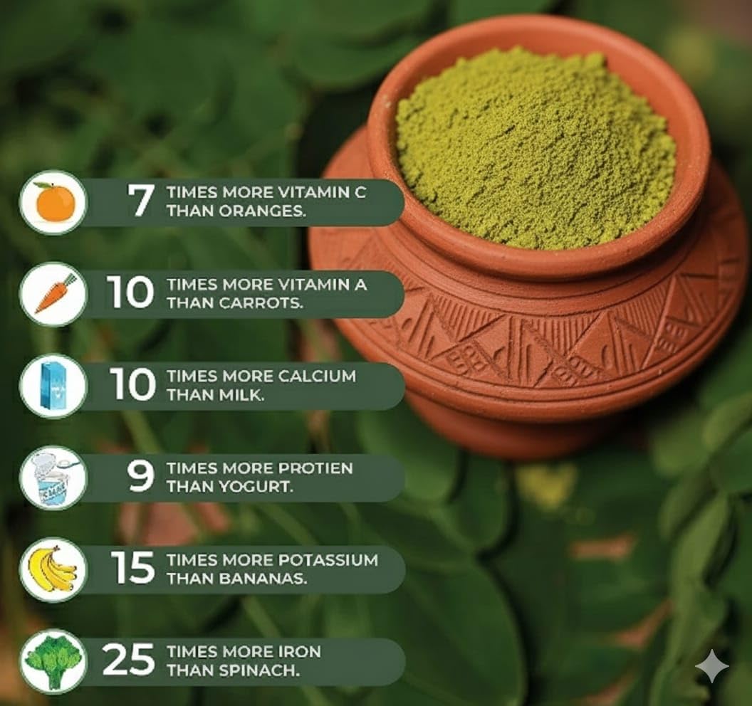 HEALTHY HERBS (HH) Organic Moringa Leaf Powder, Non-GMO, No Additives (200g) 2