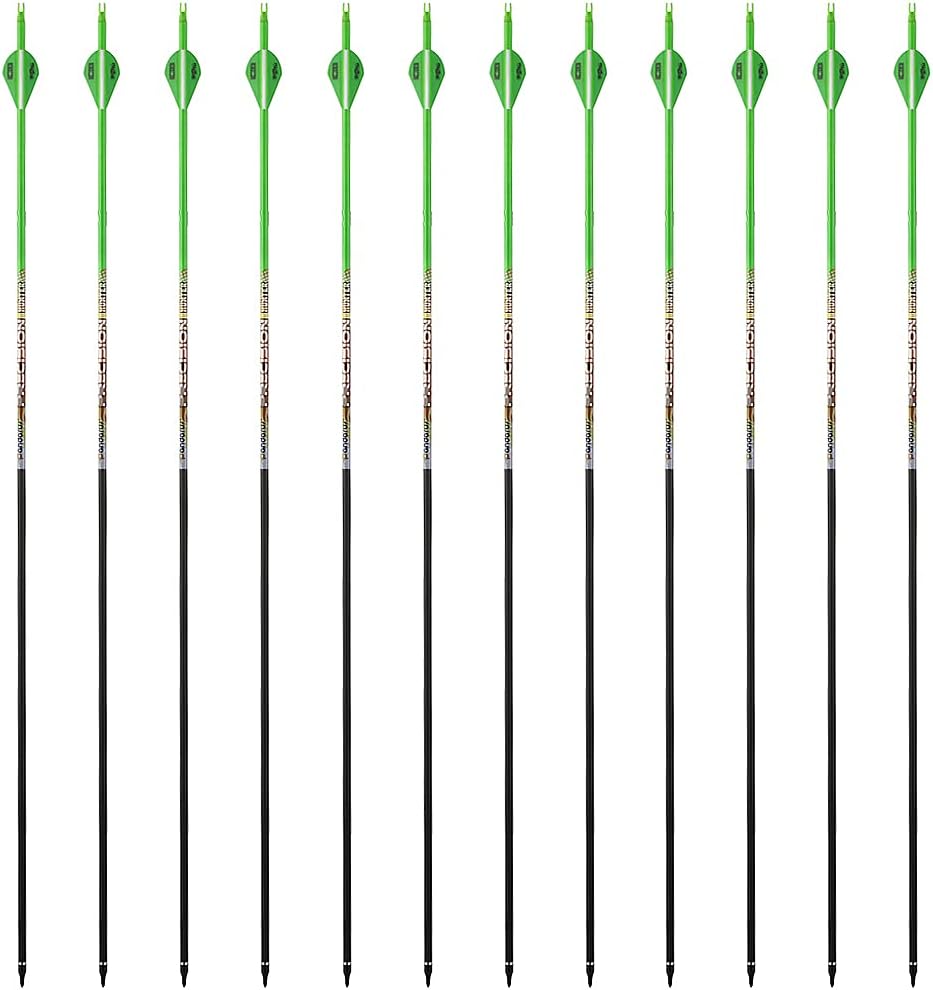 30/32" Inch ST0.006 Hunting Arrows for Compound & Recurve Bow,100% Carbon Archery Target Arrows with Removable Tips for Accurate Hunters & Bowhunters (Pack of 12)