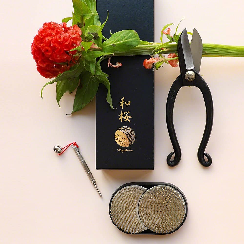Wazakura 3PCS Set di Strumenti Essenziali per Ikebana Giapponese Realizzato in Giappone, Composizioni Floreali [Forbici Ikenobo + Portafiori Kenzan Sole e Luna + Pin per la Cura del Kenzan]