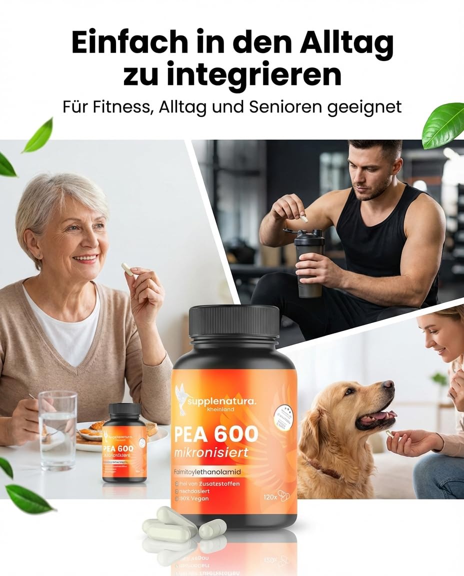 PEA Kapseln | MIKRONISIERT: 1200mg Palmitoylethanolamid pro Dosis | 120 Kapseln | 100% Pure Pea, Laborgeprüft | Produziert in Deutschland - SUPPLENATURA®
