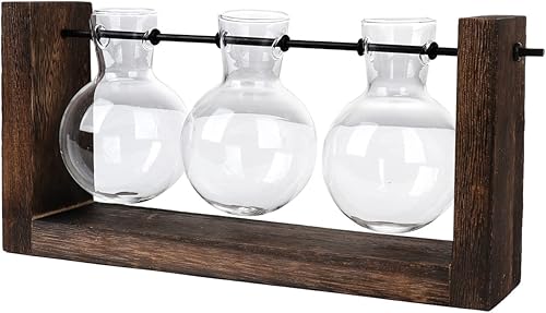 Miniatura 7 de Terrario para plantas con soporte de madera, jarrón de propagación de mesa, macetas hidropónicas de vidrio, maceta de aire, florero de vidrio con