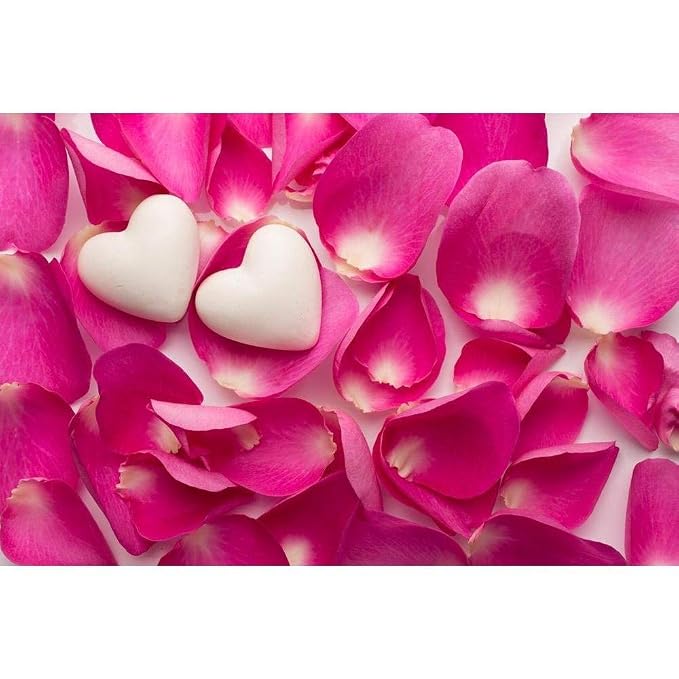 Pitaara Box Rose Petals & Hearts Photo | Canvas Painting for Bedroom & Living Room | Engineered Wood Frame | 27 x 18 inch (69 x 46 cms)