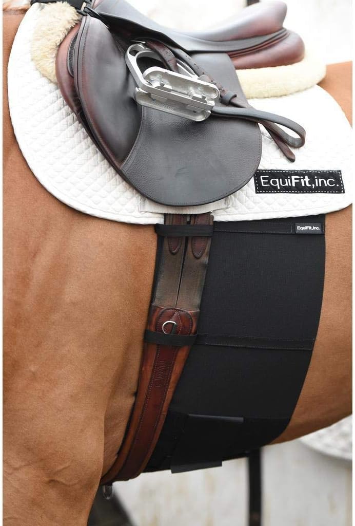 EquiFit BellyBand