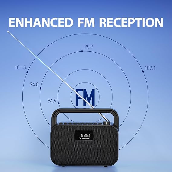 Avantree PowerByte - Portable FM Radio with Powerful 30W Stereo Bluetooth Speakers & SD Card Player, 20hr Rechargeable Playtime, and Extended Range, Wireless & Wired Speaker & U Disk Player