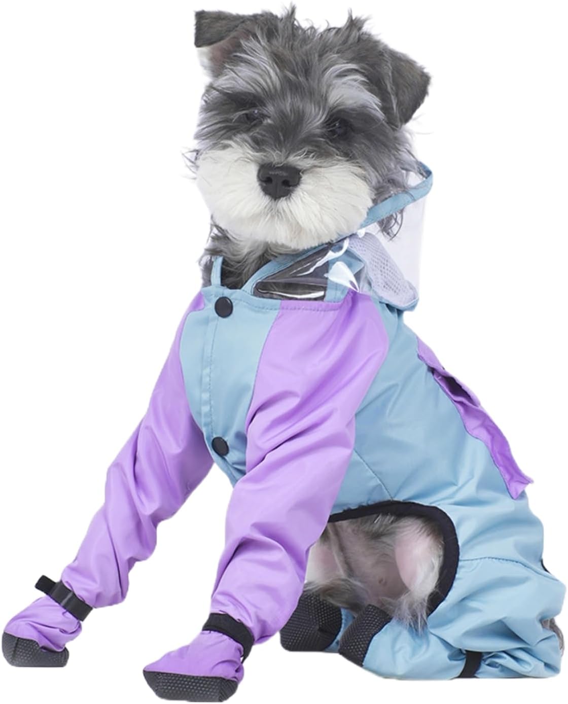Full Coverage Small Dog Raincoat, 4-Leg Waterproof Jacket with Leash Hole & Backpack, Quick-Dry Pet Rain Gear for Teddy, Bichon, Schnauzer (Blue&Purple, Large(Suggest weight8.8-13.2lb))