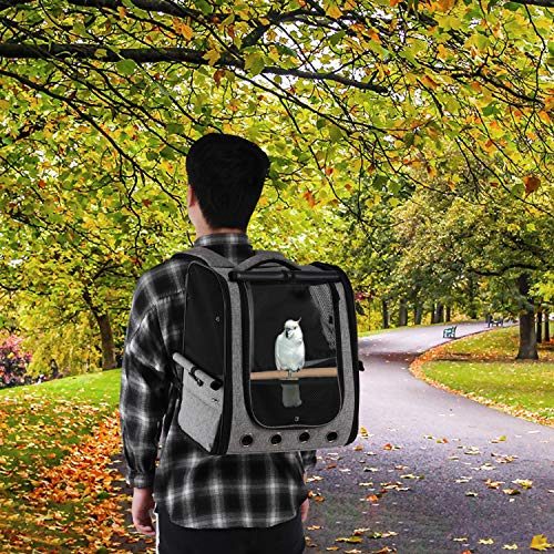 X-ZONE PET Bird Travel Bag Portable Pet Bird Parrot Backpack Transparent Breathable Travel Cage,Lightweight Bird Carrier… - Image 7