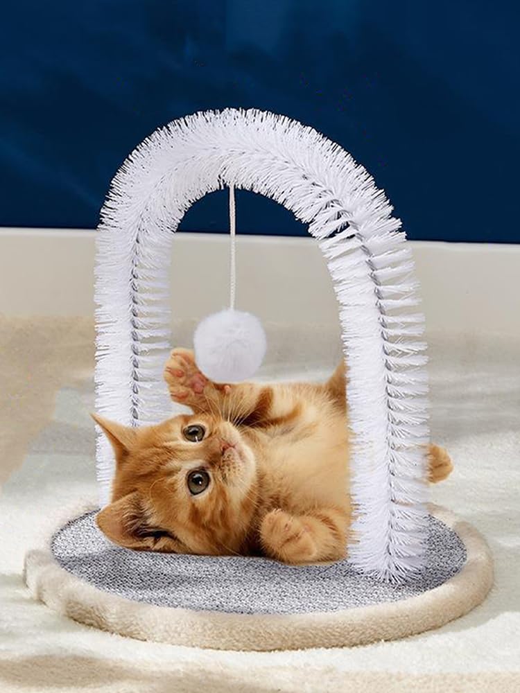 Toiletteur d'arche pour chat, gratte-dos, brosse à poils de visage, masser doucement votre chat, brosse et masseur durable pour chatons à chats