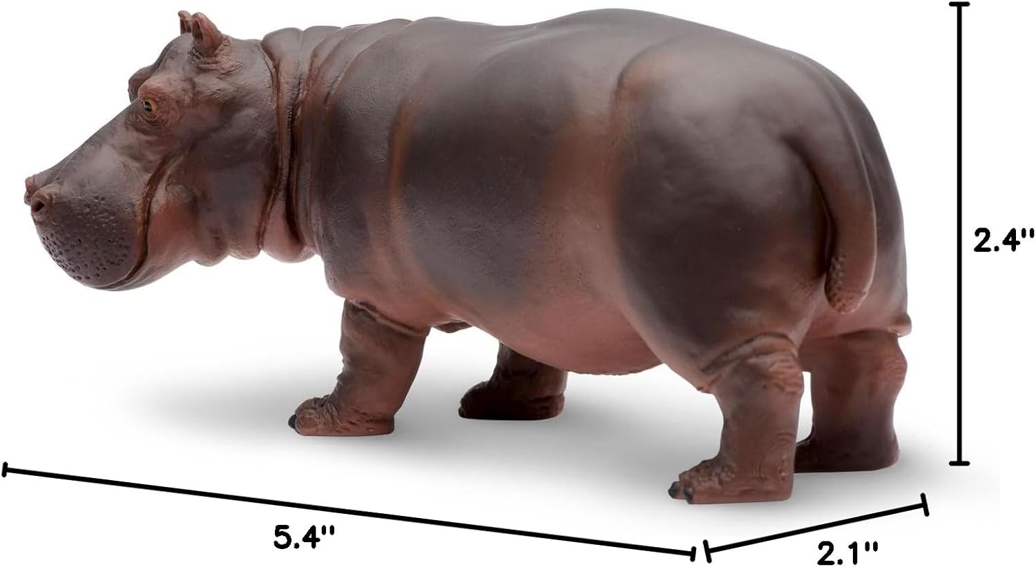 Safari Ltd. Hippopotamus Figurine - Realistic 5.5" Hippo Figure - Educational Toy for Boys, Girls, and Kids Ages 3+