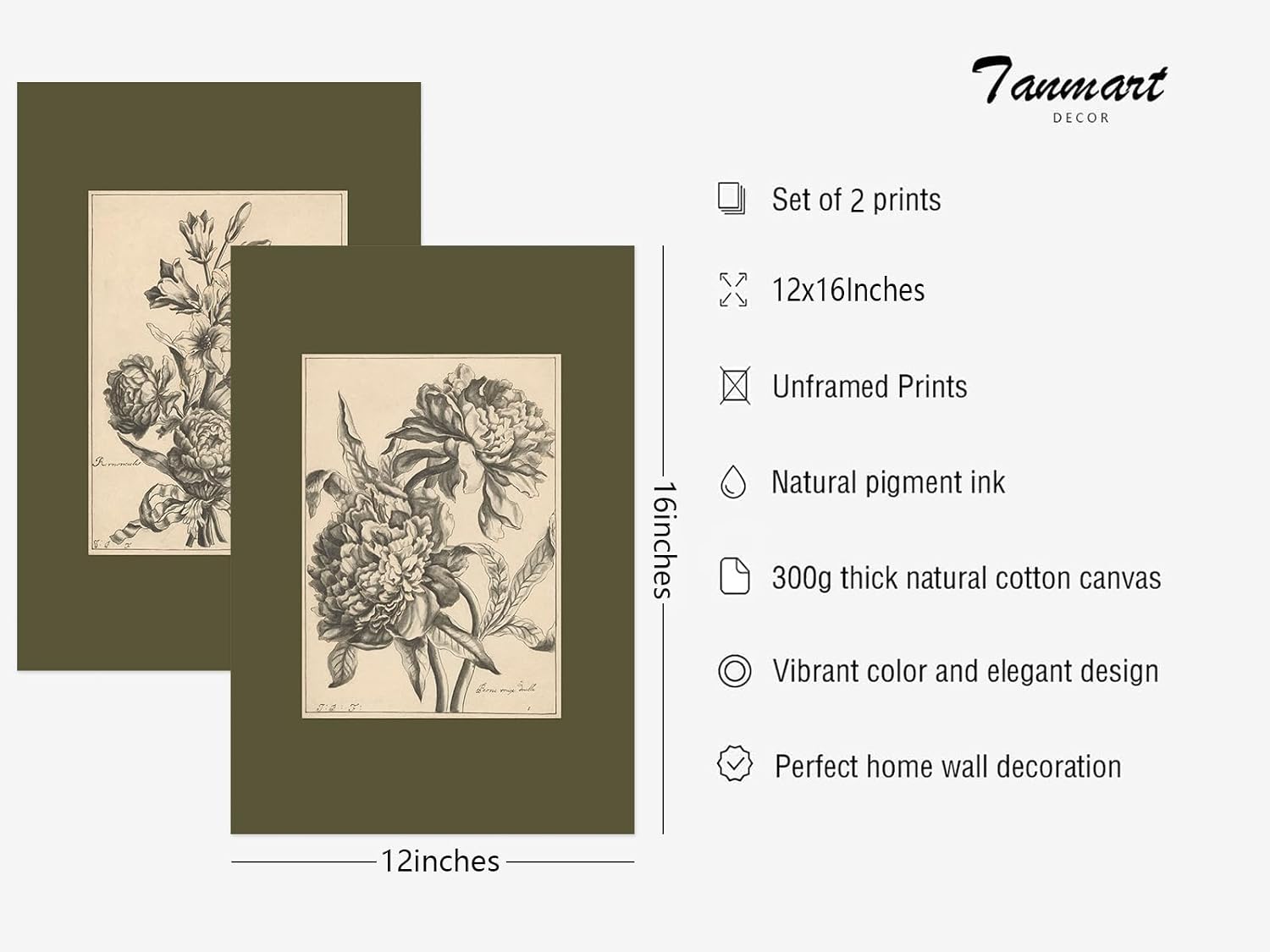 Flower Sketch Wall Art Sage Green Floral Canvas Poster Vintage Botanical Wall Decor Peony Flower Prints Dark Green Pictures Antique Floral Drawing Painting for Bedroom Living Room 12x16 Inch Unframed