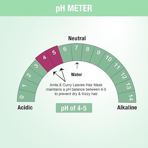 Miniatura 6 de Nykaa Naturals Mascarilla capilar, amla y hojas de curry, 6.76 onzas, promueve el crecimiento, combate la pérdida de cabello, seguro para el cabello