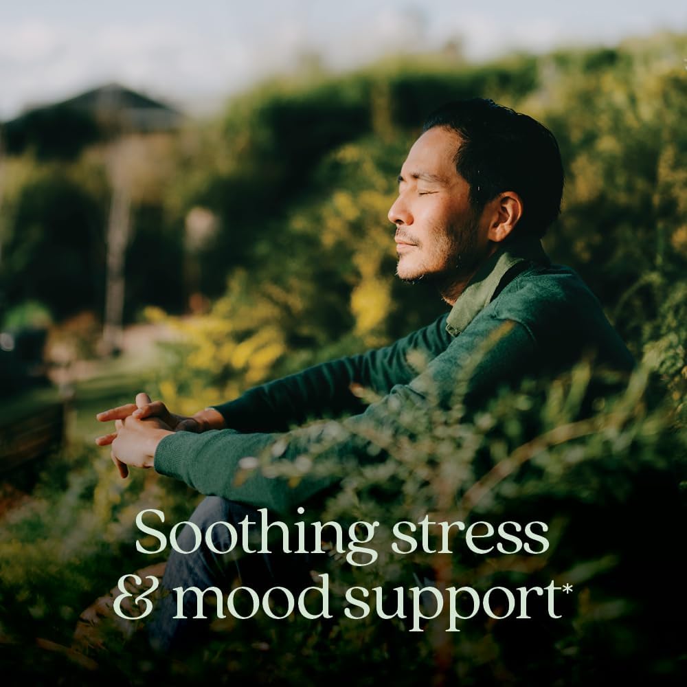 New Chapter Perfect Calm - Daily Multivitamin for Stress & Mood Support with B Vitamins + Holy Basil + Lemon Balm + Organic Non-GMO Ingredients - 144 Count - Image 2