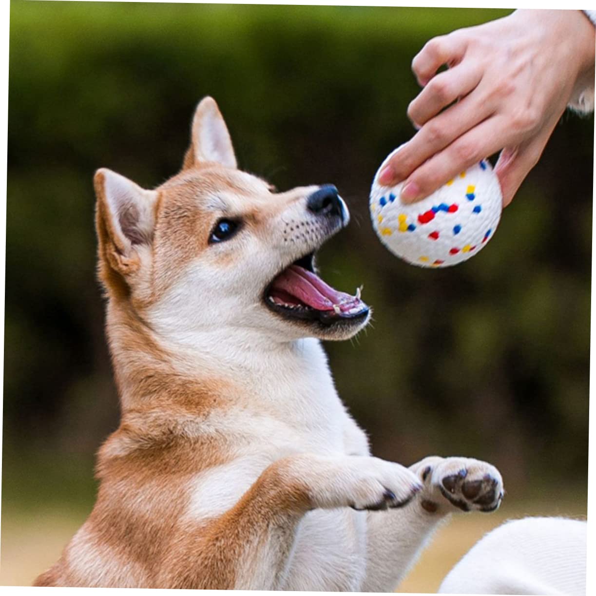 YARNOW 6pièces Balles Rebondissantes pour Chiens Jouets à Mâcher Et Résistants pour Chiots pour Intérieur Et Extérieur
