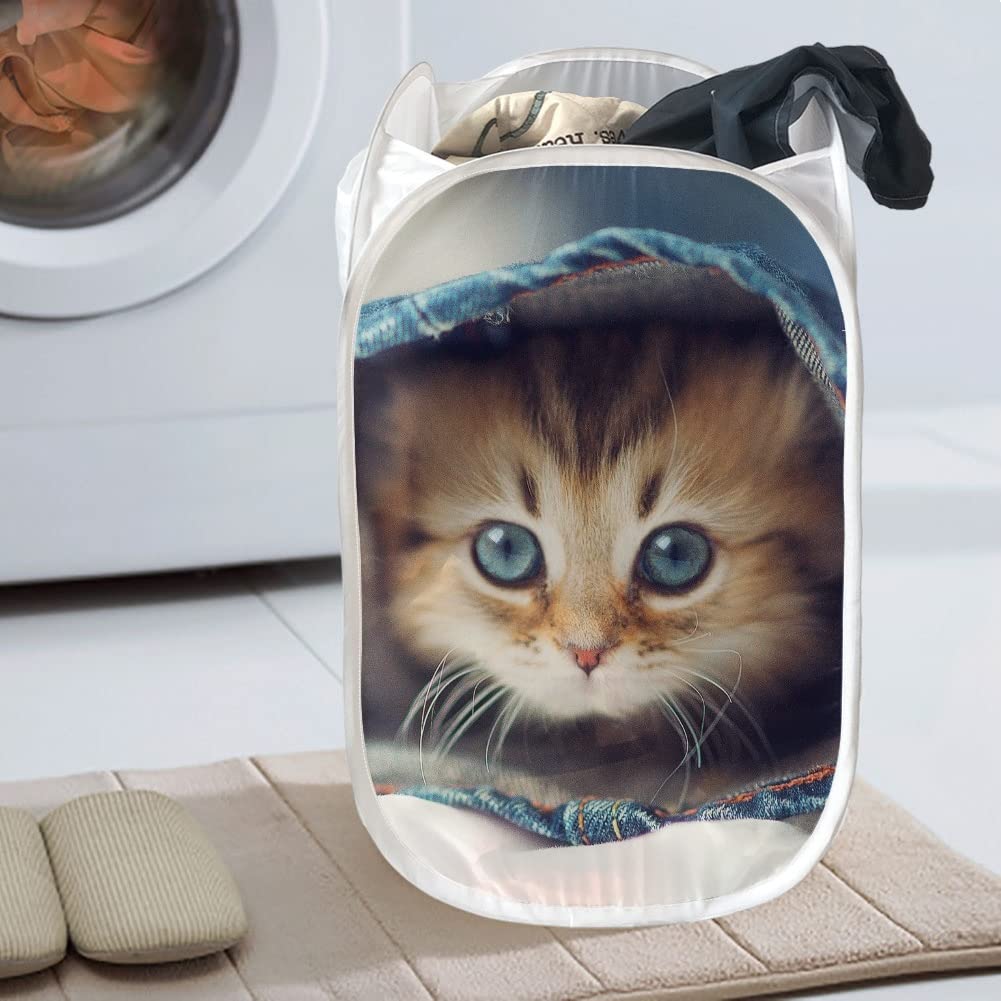 AFPANQZ Cute Cat Mesh Popup Laundry Hampers Foldable Portable Dirty Clothes Basket Organizer Collapsible Hamper for Bedroom, Kids Room, College Dorm and Travel Black Colored 85L