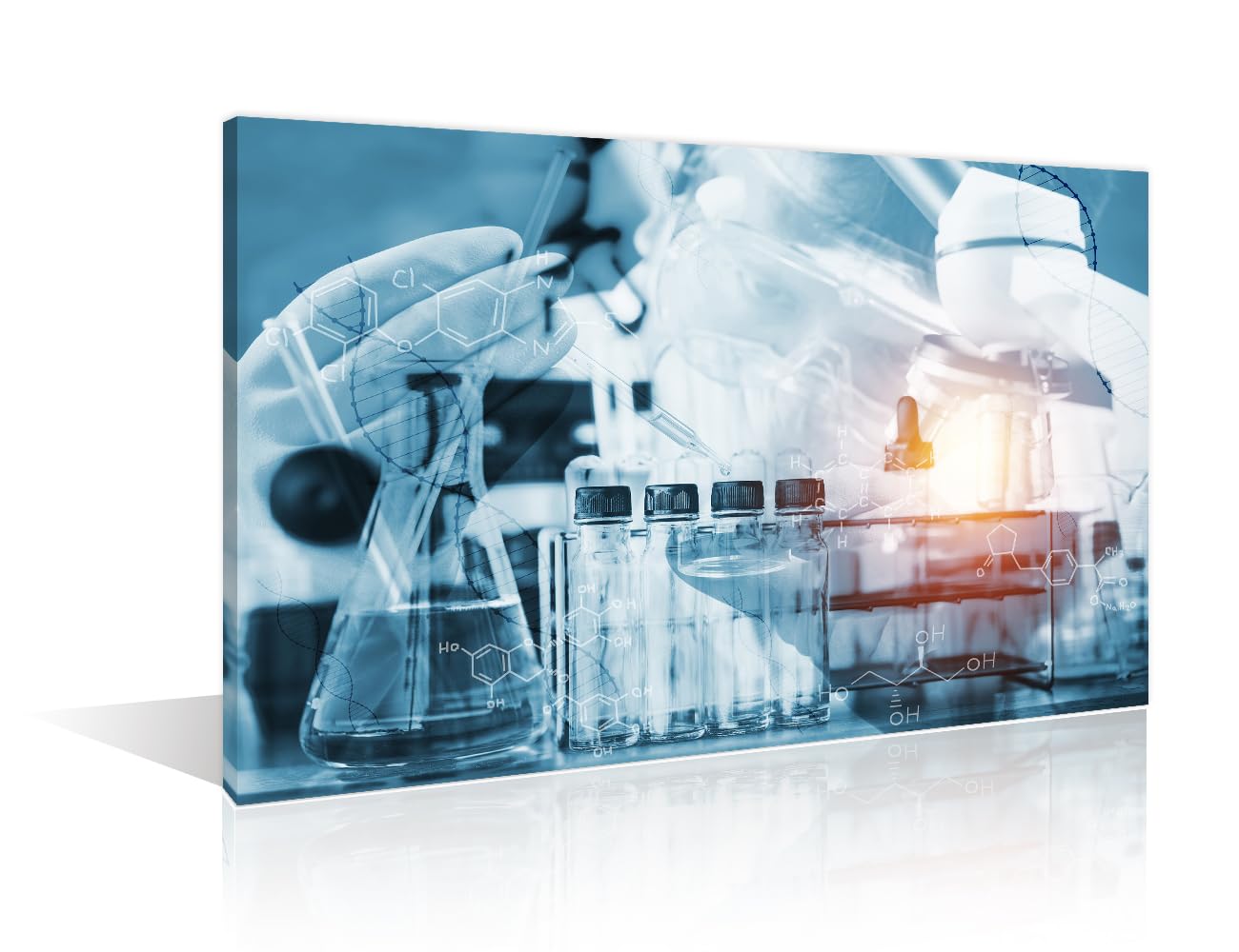 TUMOVO Science and Medical Background Canvas Wall Art Home Decor Young Scientist Pictures Black and White Wall Art 1 Panel Clinical Laboratory Posters and Prints Framed Ready to Hang (16" Wx24 H)