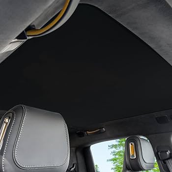 Amazon.com: Glass Roof Sunshade Compatible with Rivian R1T