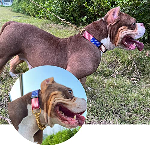 Dog Collar Martingale Collars With Release Buckle Chain Training Pet Collars Dog Nylon Martingale Collar With Stainless Steel Chain Adjustable Collar For Small Medium Dogs (Gold Chain, 22") #TOP3