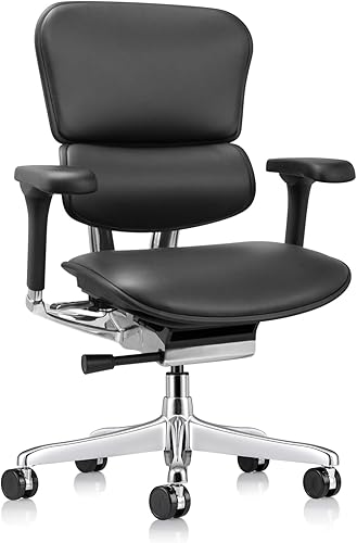 Ergohuman Eurotech LE9ERG Executive High Back Leather Swivel Chair