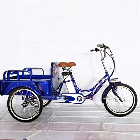 Triciclo elettrico, Triciclo elettrico per adulti Assistenza per bici  Bicicletta a doppio uso con luce a LED e carrello per anziani, adolescenti,  donne, uomini, shopping, trasporto da giardino,Blu : Sport e tempo
