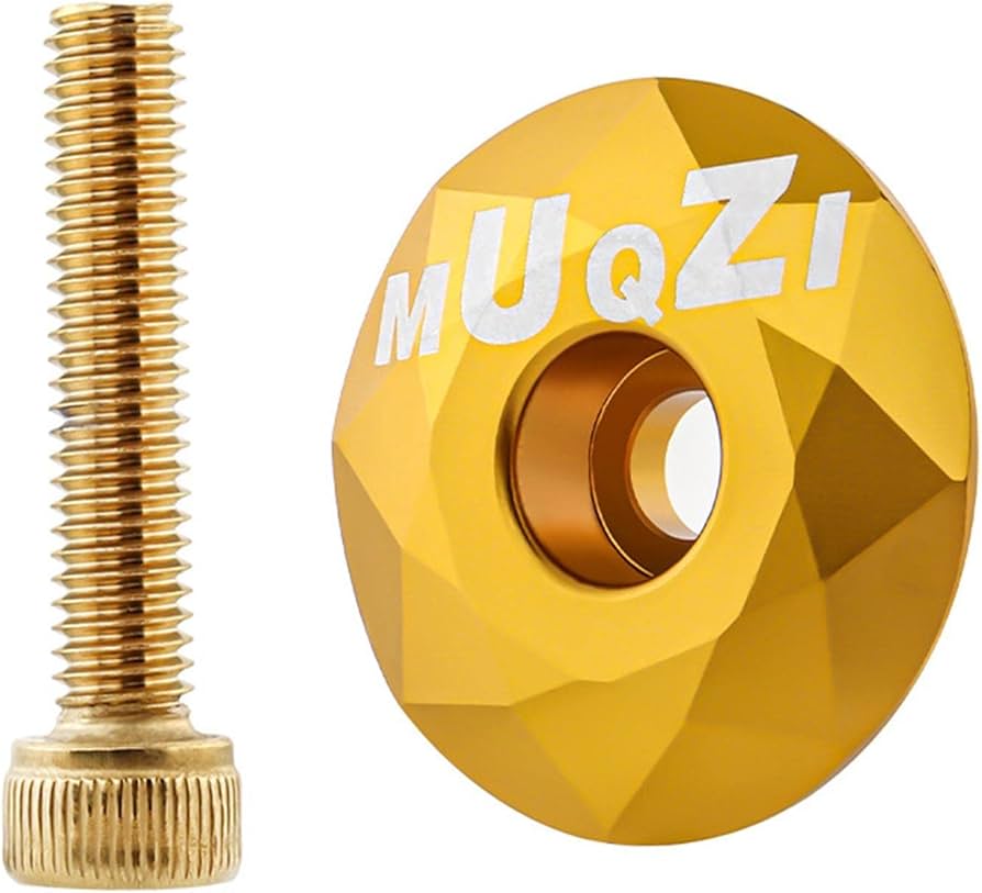 トライアンフ　T100  2022年〜用　フロントスプリング&トップキャップ トライアンフ T100 2022年〜用 フロントスプリング&トップキャップ