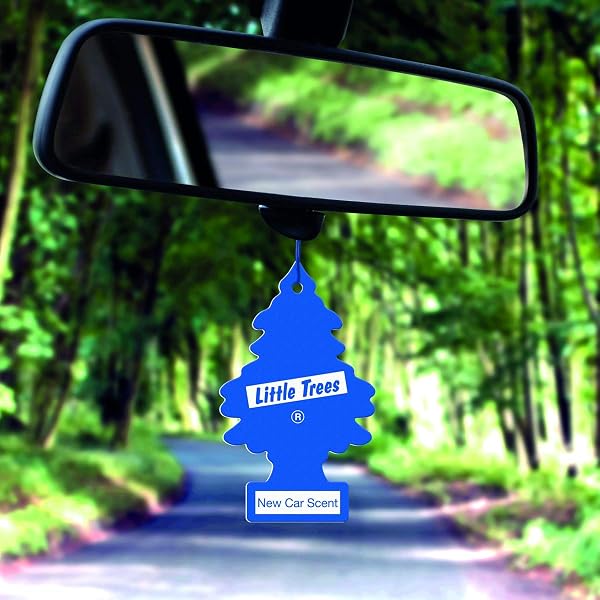 Little Trees Air Freshener, Traditional Fragrances, Pack of 3 (Packaging may vary) - 2