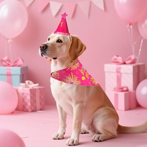 Dog Birthday Decorations Rose Pink, Dog Birthday Party Supplies with Hat Bandana Numbers for Large Medium Girl Pets Puppy(rose pink-set,X-Large)