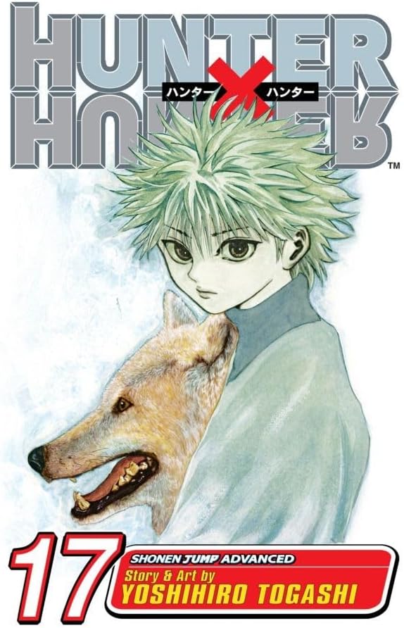 Hunter x Hunter, Vol. 17: A Fierce Three-Way Struggle