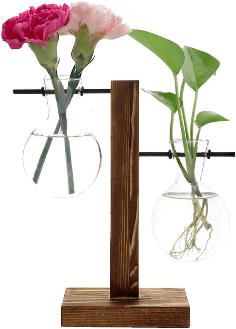 Feitore Glass Planter Bulb Vase, Desktop Plant Terrarium with Retro Solid Wooden Stand and Metal Swivel Holder for Hydroponics Plants Home Garden Office Wedding Decor - (2 Bulb Vase)